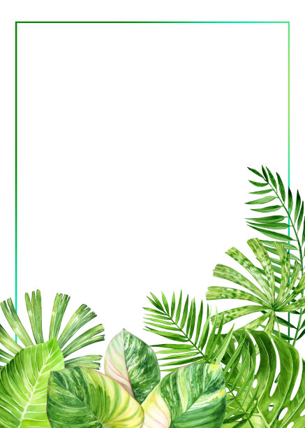 水彩花卉矩形框异国的花和叶子。热带背景横幅，明信片，婚礼文具，问候，背景，纺织品，DIY，包装纸图片下载
