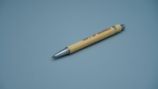 潘氏图像在白色孤立的背景图片下载