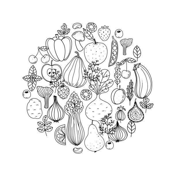 收集蔬菜和水果。北欧风格的插图。素食食物。手绘矢量插图。极简主义的设计。北欧风格的插图。健康的有机食品。图片下载