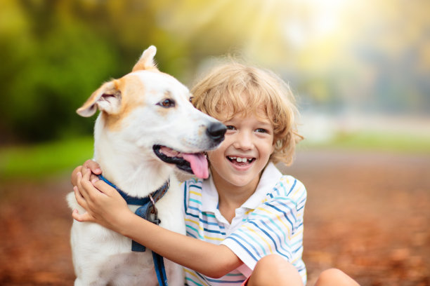 孩子在和他的狗玩耍。孩子和狗。图片下载