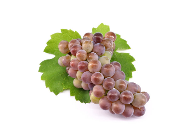 一串灰比诺葡萄和五颜六色的浆果图片下载