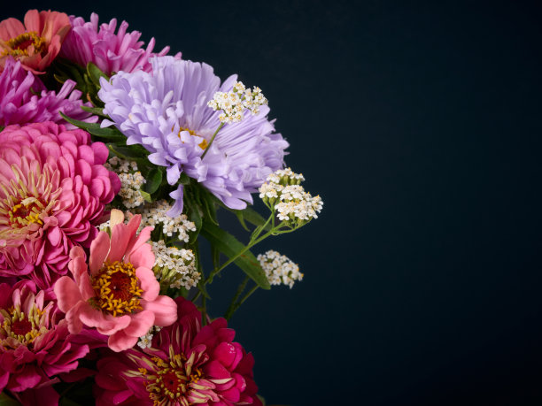 束鲜花。图片下载