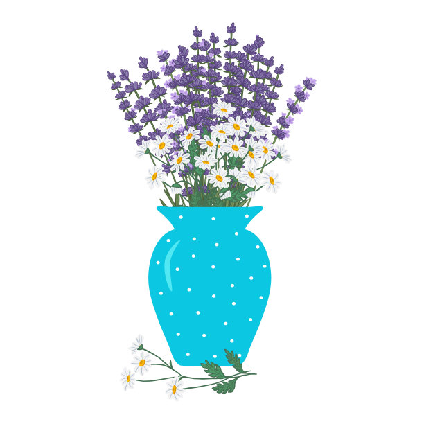 美丽的一束薰衣草和雏菊在花瓶手绘矢量插图图片下载