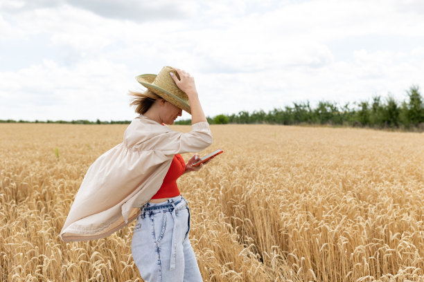 夏天，戴着草帽的女人在麦田里看手机的照片图片下载