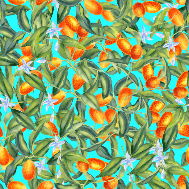 金桔枝头配花水彩无缝图案。柑橘和柑橘的果实，留下无尽的背景。热带树木手绘装饰品。用于纺织品和包装纸。图片下载