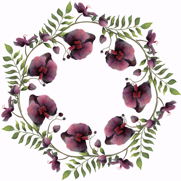 热带兰花水彩和彩色铅笔图片下载