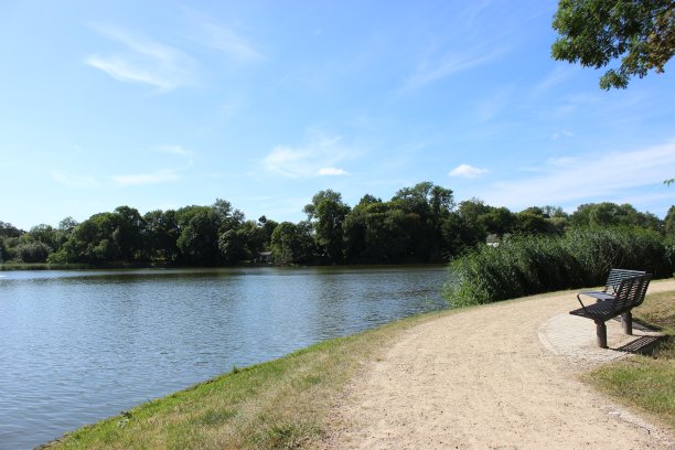 美丽的小径湖畔，蓝天和树木图片下载