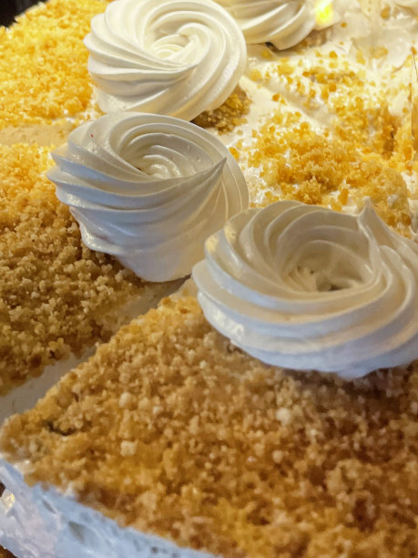 全帧图像切片香草芝士蛋糕顶部饼干屑和管道糖衣螺旋装饰，面包店甜点显示，提升的观点图片下载