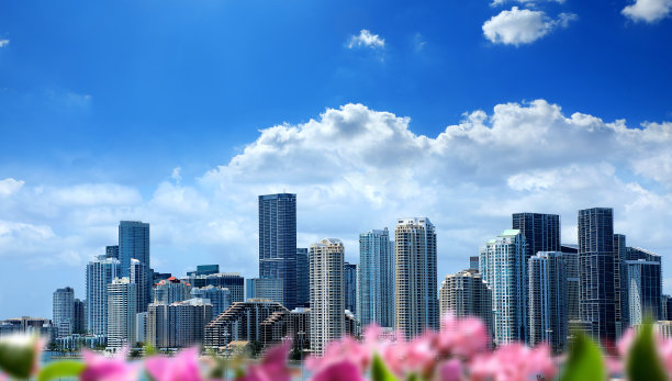 迈阿密天际线的城市景观图片下载
