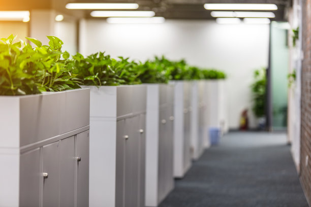 办公室走廊用旧砖墙装饰图片下载