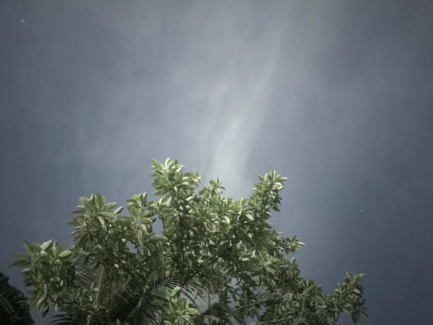 夜晚星空图片图片下载