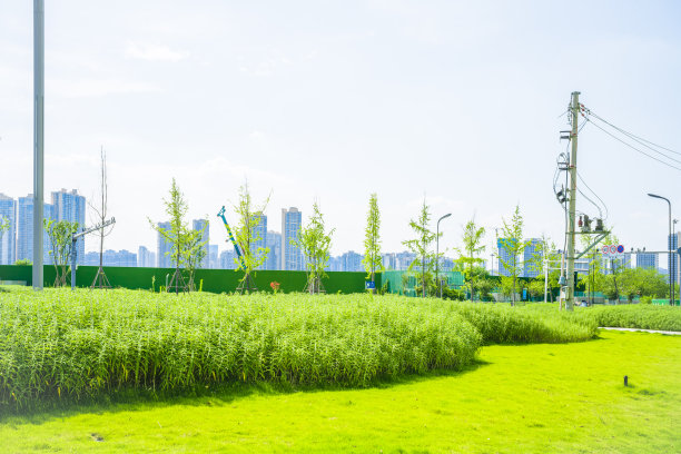 黄昏的现代城市图片下载