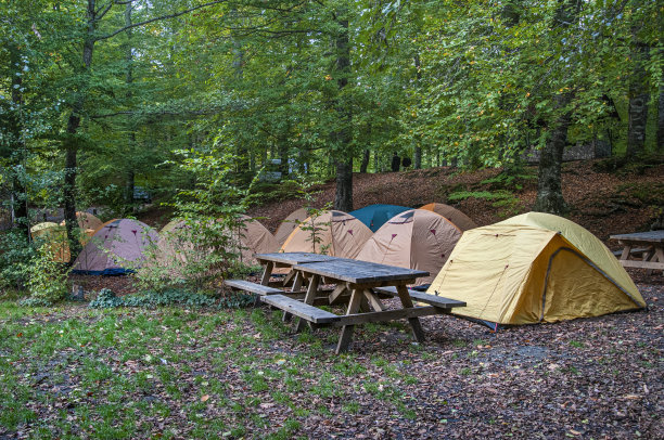 帐篷营地在Yedigöller图片下载