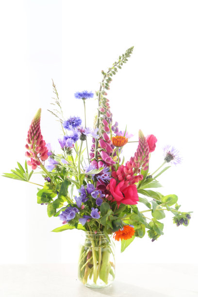 鲜花和礼物图片下载