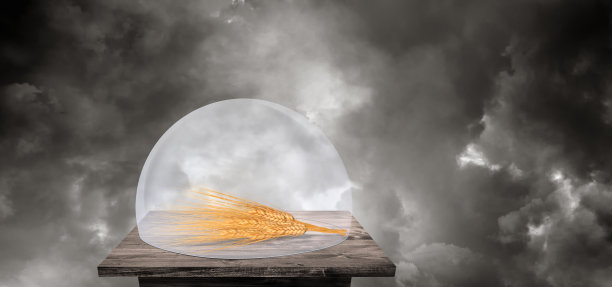 全球粮食短缺概念图片下载