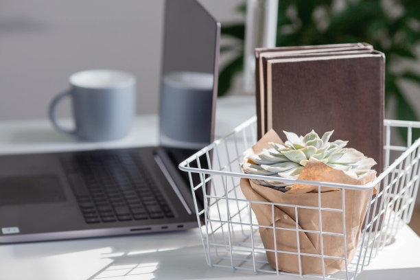 自由职业者。办公室用了明亮的颜色。一张白色的桌子，上面有一台笔记本电脑、几本书、一个马克杯、一朵花和一部电话。在家里工作。工作日的开始。办公室内部的概念。图片下载