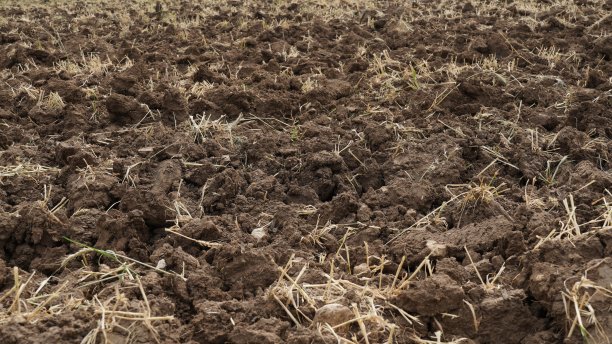 最近耕犁并准备种植作物的农田图片下载