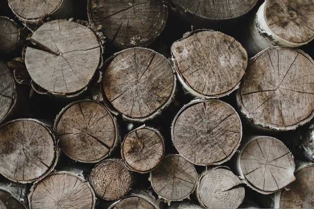 不同大小的原木堆叠在一起的纹理图片下载