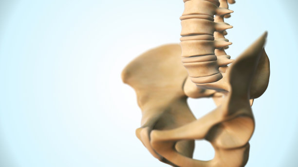 脊柱医学背景图片下载