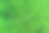 绿色草地的纹理背景。绒毛植物的背景。图片下载