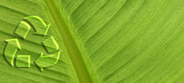 绿色叶子上的回收符号与复制空间图片下载