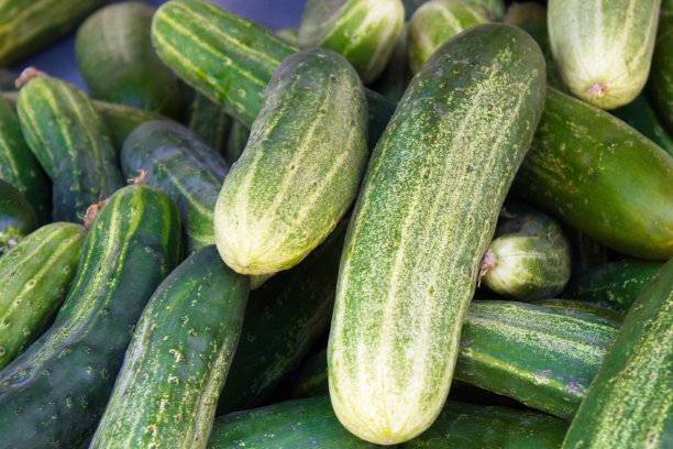 穆尔西亚每周集市的一个摊位上的一组黄瓜图片下载