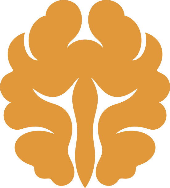 胡桃木图片下载