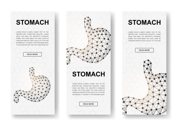 设置三个胃多边形垂直横幅。三维器官解剖低多边形符号与连接的点。垂直插图的网页设计。图片下载