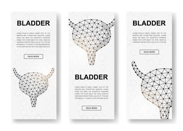 一套三个膀胱多边形垂直横幅。三维器官解剖低多边形符号与连接的点。垂直插图的网页设计图片下载