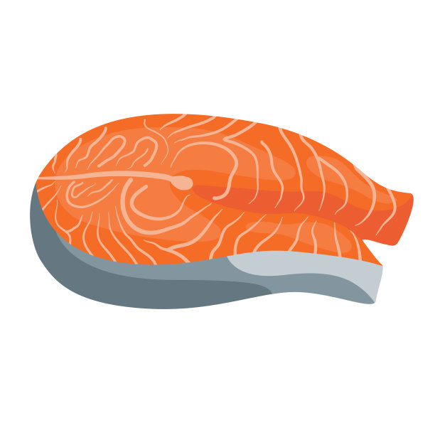红鱼排三文鱼片寿司。矢量插图孤立在白色背景上。图片下载