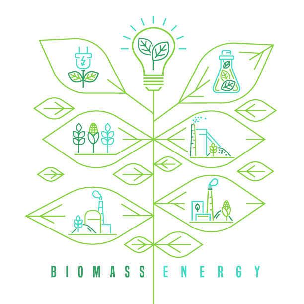 生物质可再生能源概念。可编辑的矢量图图片下载