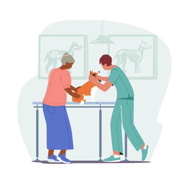 老狗主人在兽医医院预约。兽医诊所医生照顾宠物检查。狗的耳朵和眼睛图片下载