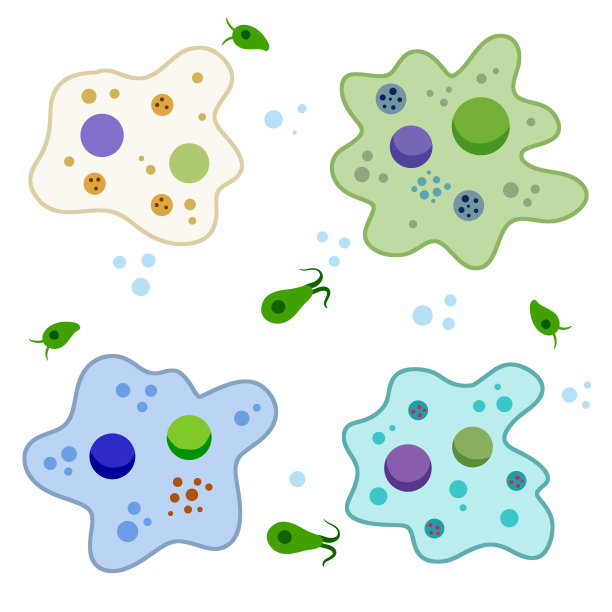 变形虫细胞。小的单细胞动物。病毒和细菌。教育和科学。图片下载