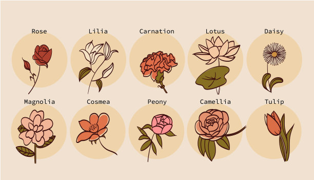 一个集合的矢量图标描绘各种类型的花在一个简单的风格图片下载