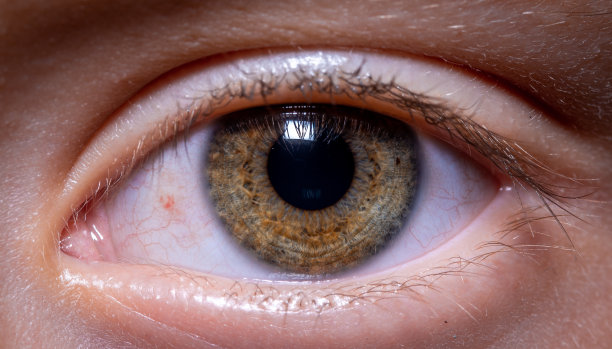 男孩的眼睛近距离宏观图片下载