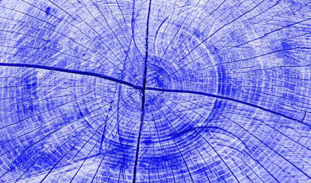 从树上锯下来的木锯，涂成蓝色。老木头的纹理。老旧的背景。本空间图片下载