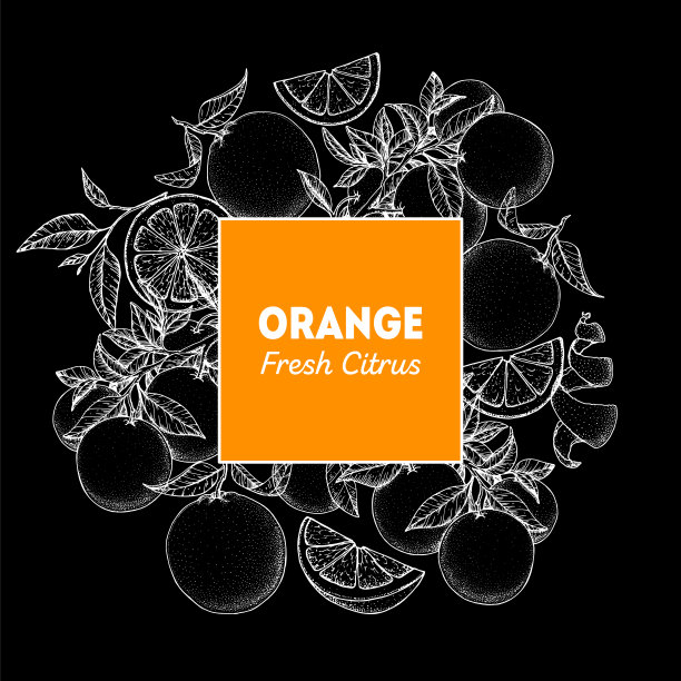 橙色手绘包装设计。矢量插图。菜单设计、宣传册插图的橙色草图。黑白设计。柑橘柑橘框架插图。可用于包装设计。图片下载