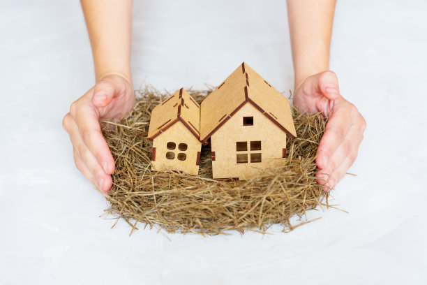 双手用两个玩具木屋做窝图片下载