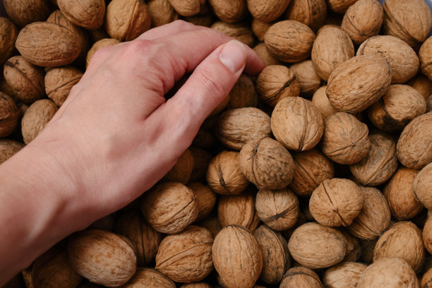 手里拿着壳的核桃。填充背景。核桃纹理。抽象坚果堆图案背景图片下载