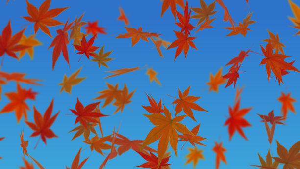 枫叶飘落的背景图图片下载