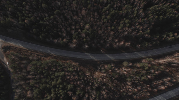 多车道高速公路与秋林之间的车流图片下载