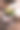 戴着手套的手在花盆里的地上种一棵新芽图片下载