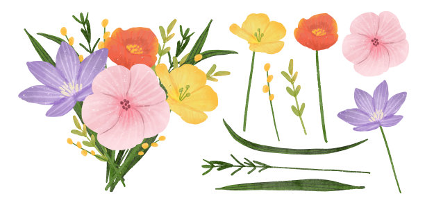 美丽的花束和花叶装饰在水彩风格图片下载