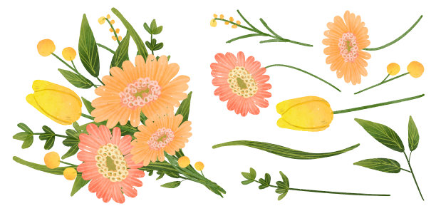 美丽的花束和花叶装饰在水彩风格图片下载