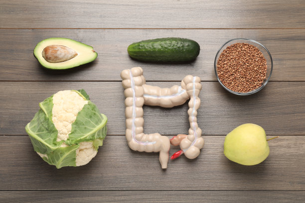 摆放肠道模型和助消化产品在木桌上，俯视图图片下载