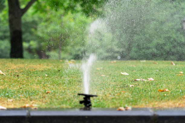 街道公园草坪自动灌溉系统。洒水，浇绿草图片下载