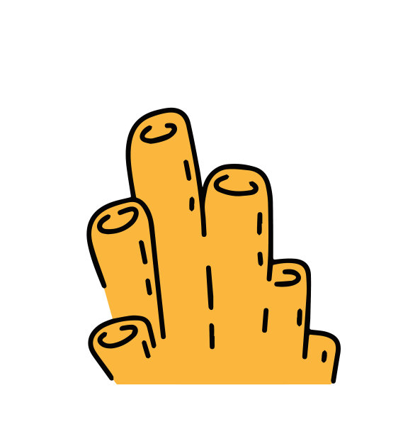 海绵群居海洋动物海葵图片下载