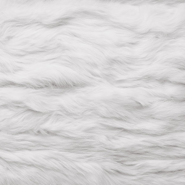 皮毛背景，白兔毛图片下载