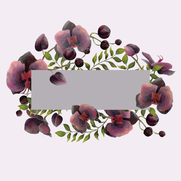 热带兰花水彩和彩色铅笔图片下载