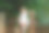 学龄前的小女孩攀爬和悬挂在户外单杠上。欢快的女孩运动员在运动场上的体操棒上。快乐的孩子和夏天的活动在操场上。图片下载
